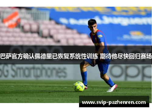巴萨官方确认佩德里已恢复系统性训练 期待他尽快回归赛场 巴萨官方确认佩德里已恢复系统性训练 期待他尽快回归赛场